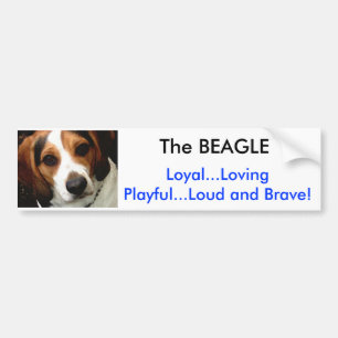 The BEAGLE Bumper Sticker