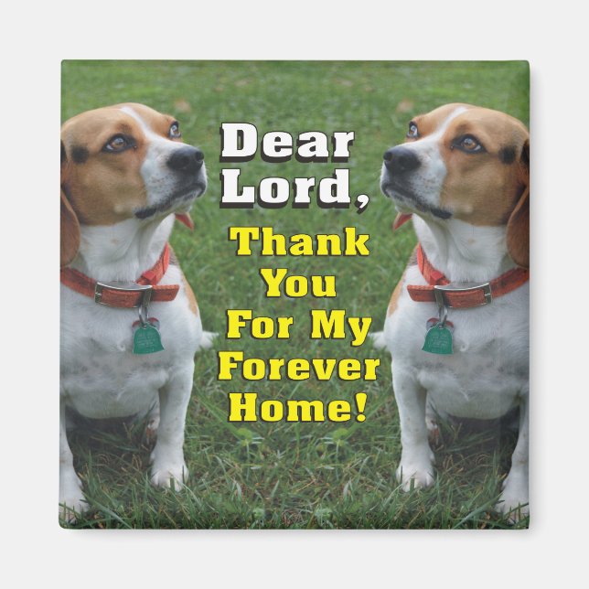 The Beagle's Prayer Magnet (Front)