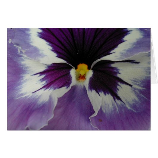 the beak of a pansy? cards (Front Horizontal)