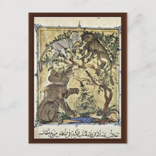 The Bear And The Monkeys By Ägyptischer Maler Postcard