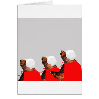 The Bearmaid's Tail Cards