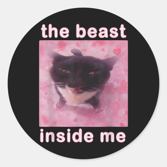 The Beast Inside Me Funny Cat Meme Sarcastic Inapp Classic Round Sticker (Front)