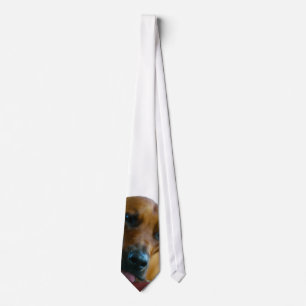 The Beau Tie