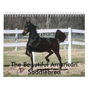 The Beautiful American Saddlebred Calendar