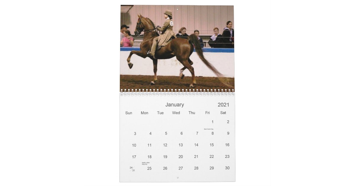 The Beautiful American Saddlebred Calendar
