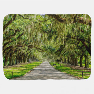 The Beautiful Avenue Of Oaks Baby Blanket