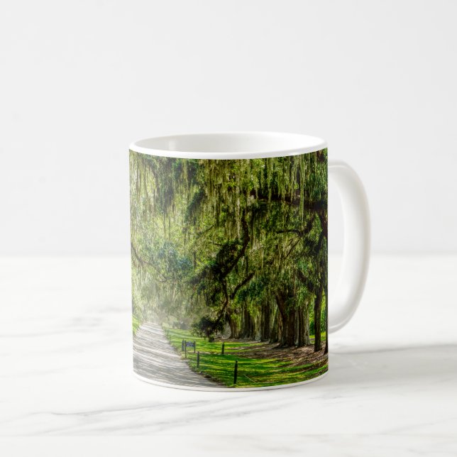 The Beautiful Avenue Of Oaks Coffee Mug (Front Right)