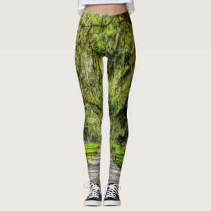 The Beautiful Avenue Of Oaks Leggings