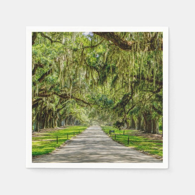 The Beautiful Avenue Of Oaks Napkins (Front)