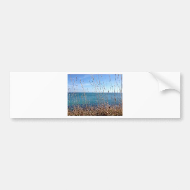 The beautiful Grass and Sea Bumper Sticker (Front)