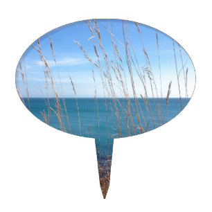 The beautiful Grass and Sea Cake Topper