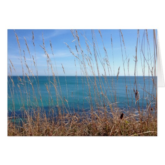 The beautiful Grass and Sea Cards (Front Horizontal)