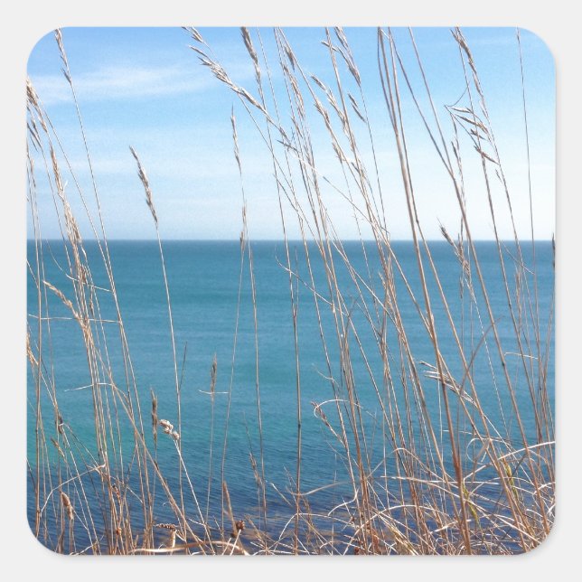 The beautiful Grass and Sea Square Sticker (Front)