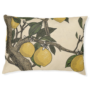 The Beautiful Lemon Tree Pet Bed