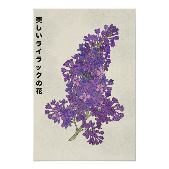 The Beautiful Lilac Flower Poster (Front)