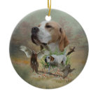 The beautiful pointer 