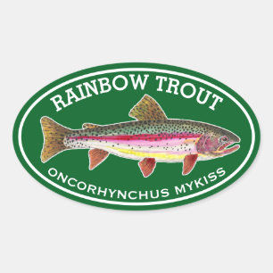 The Beautiful Rainbow Trout Oval Sticker