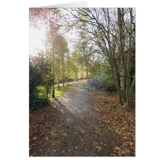 The Beautiful Road Cards (Front)