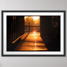 The Beautiful Sunlit Pathway at Monterey Wharf