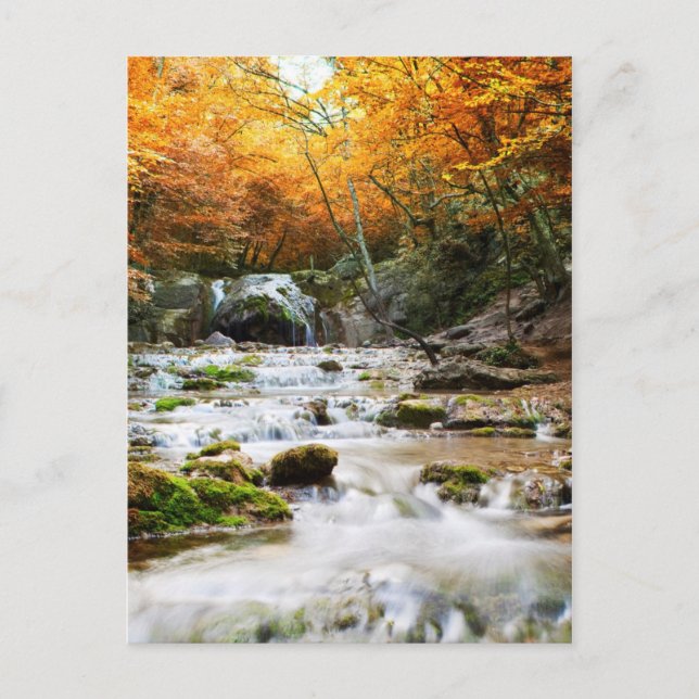 The beautiful waterfall in forest, autumn postcard (Front)