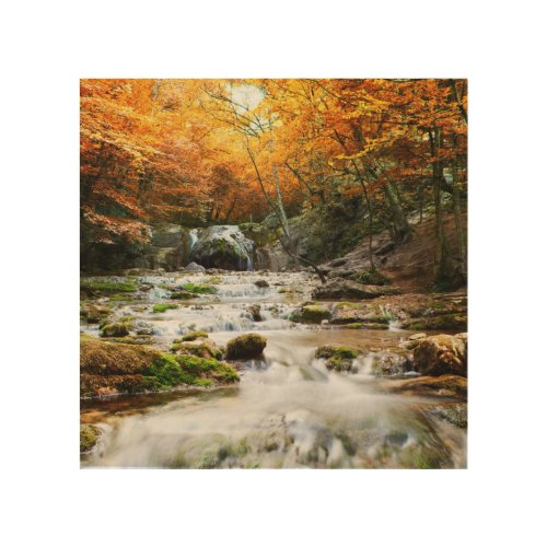 The beautiful waterfall in forest autumn wood wall decor