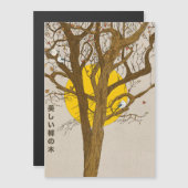 The Beautiful Willow Tree (Front/Back)