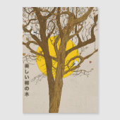 The Beautiful Willow Tree (Front)