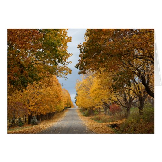 "The Beauty of Autumn" Cards (Front Horizontal)