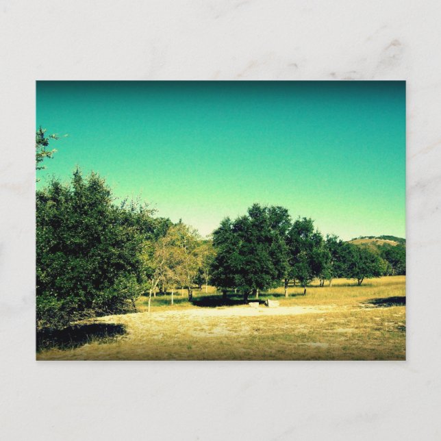 The Beauty Of Bandera Texas Postcard #2 (Front)