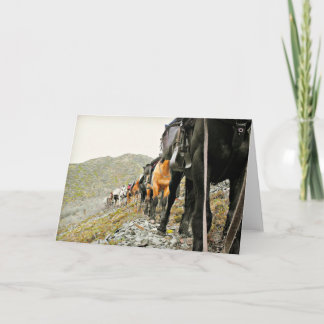 The Beauty of Chisana Card