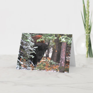 The Beauty of Chisana Card