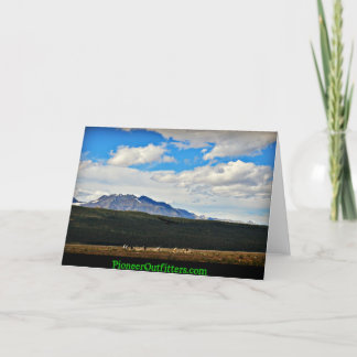 The Beauty of Chisana Card