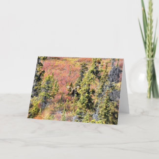 The Beauty of Chisana Card