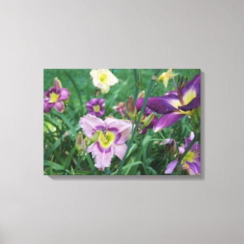 The Beauty of Daylilies Canvas Print