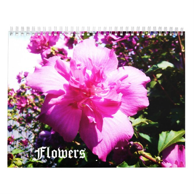 THE BEAUTY OF FLOWERS calendar (Cover)