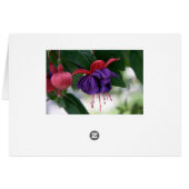 The Beauty of Fuchsia Cards (Back Horizontal)