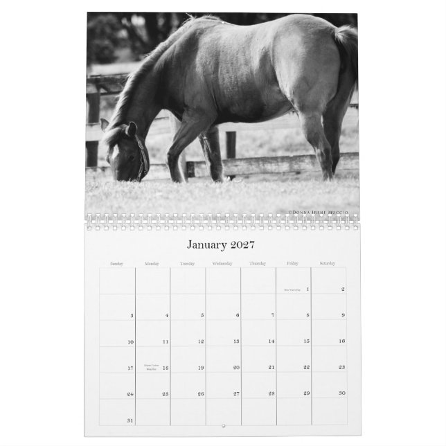 The Beauty of Horses Calendar (Jan 2027)