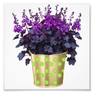 The Beauty of Houseplants and Flowers"  Key Vocabu Photo Print