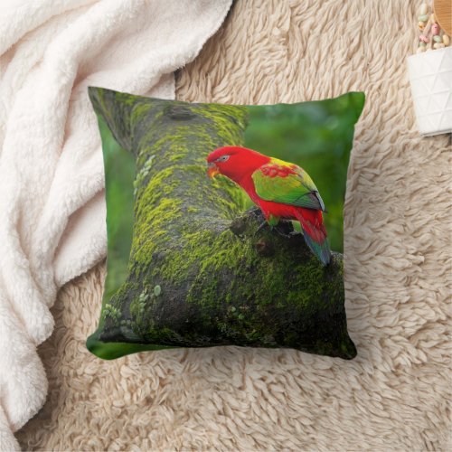 The beauty of nature with its wonderful colors throw pillow