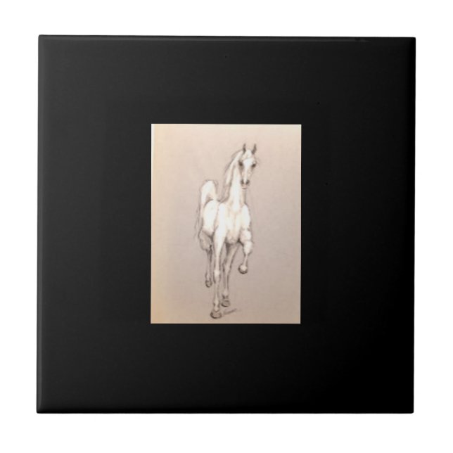 The Beauty of Power . . . Ceramic Tile (Front)