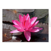 The beauty of the Lotus (Front Horizontal)