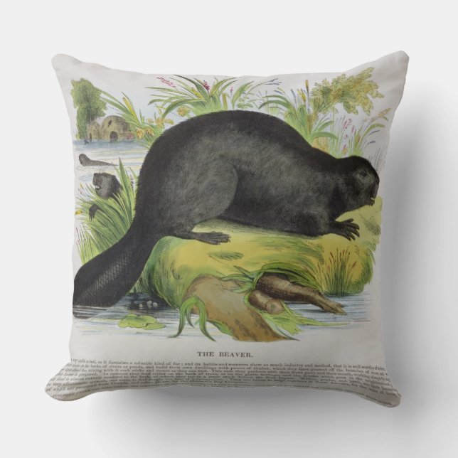 The Beaver, educational illustration pub. by the S Throw Pillow (Front)