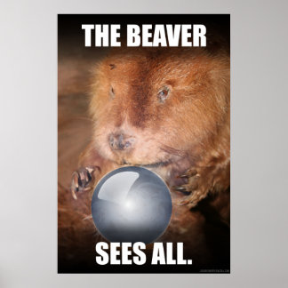 The Beaver Sees All. Poster