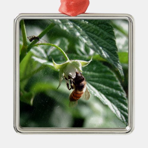 The Bee on the Raspberry Bush Metal Ornament