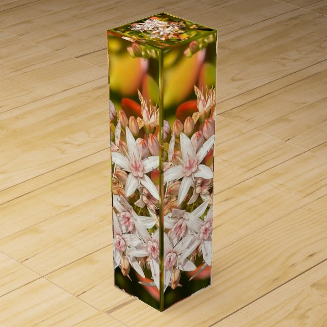 The Bee Wine Box (Back)