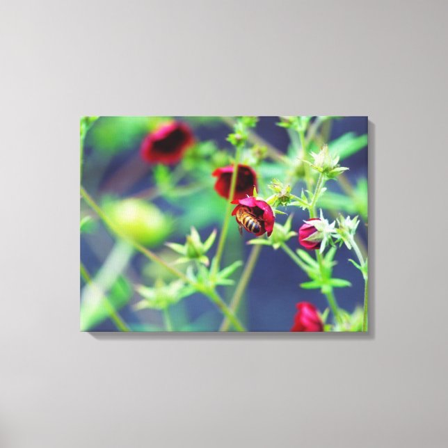 The Bee With the Red Flower Canvas Print (Front)
