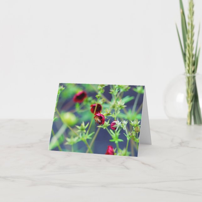 The Bee With the Red Flower Card (Front)