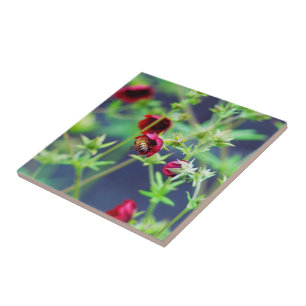 The Bee With the Red Flower Ceramic Tile