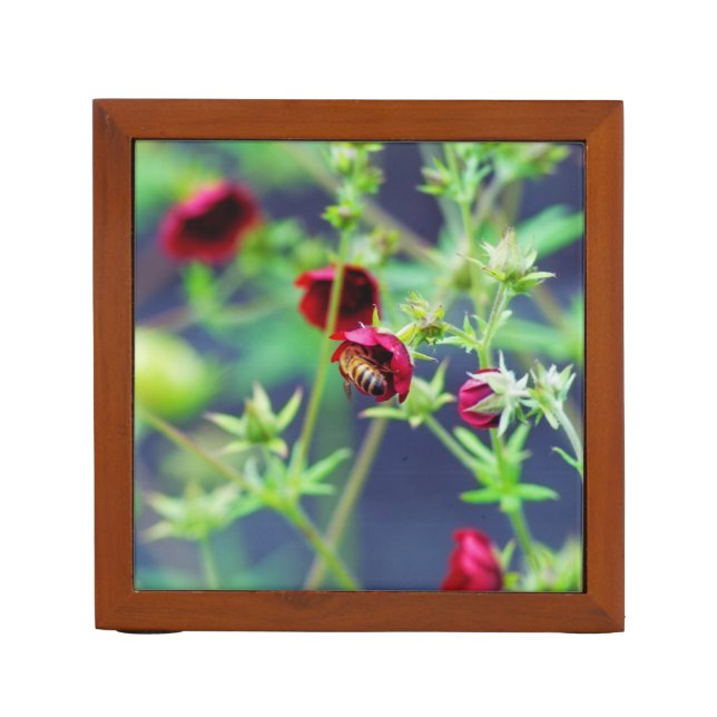 The Bee With the Red Flower Desk Organizer (Front)