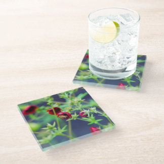 The Bee With the Red Flower Glass Coaster